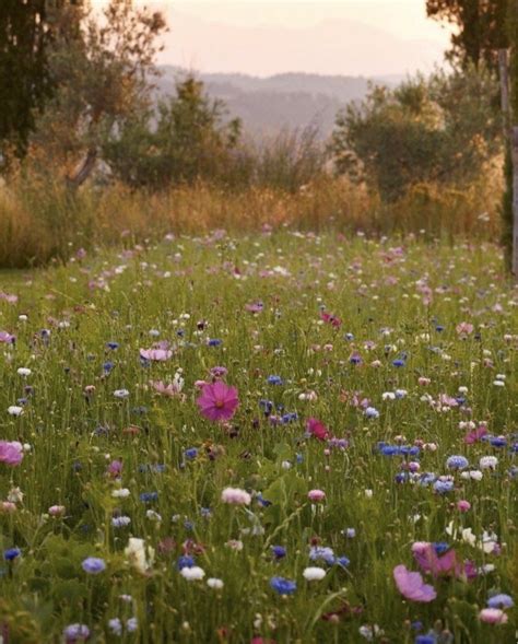 TW Pornstars - 3 pic. 🌙pïa. Twitter. I love taurus szn 🥺. 1:12 PM - 3