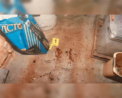 The Delphi Murders Crime Scene: A Forensic Expert's Nightmare - 008ga4h