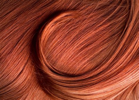 tips  healthy hair  refuge