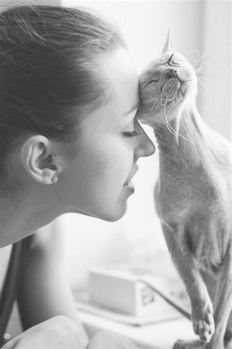 Любительницы кошек со своими питомцами – 35 классных фотографий