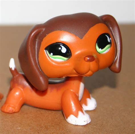 Who is your favorite Littlest Pet Shop Popular character? Poll Results ...