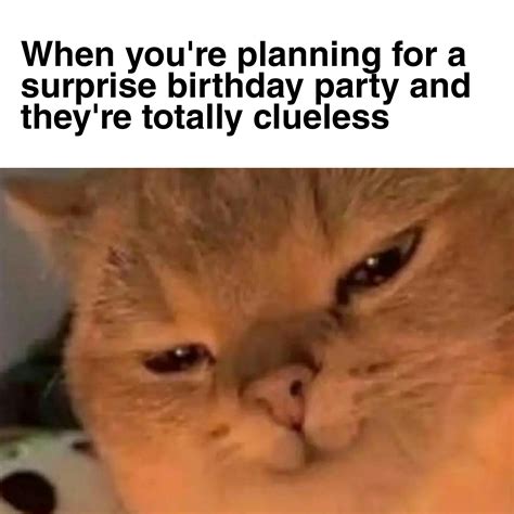 Clueless Birthday Memes My Friends Are Throwing Me A Brat Birthday