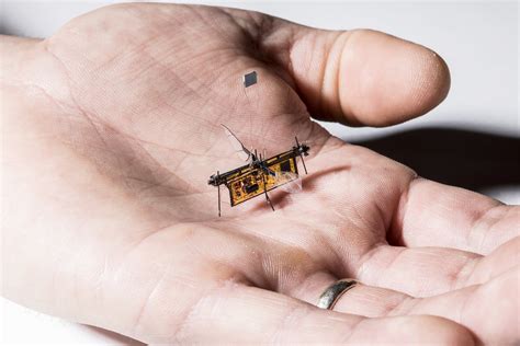 The first wireless flying robotic insect takes off