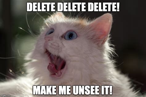 When you see something that simply just make no darn sense... - Imgflip