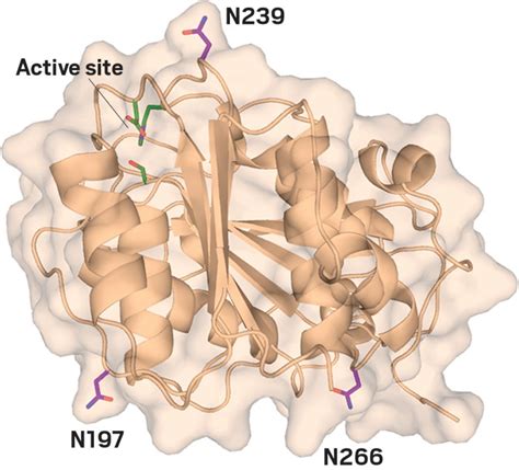 Improving-plastic-degrading-enzyme-better