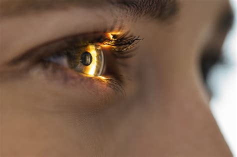 Pupil size predicts prefrontal function boost from light exercise