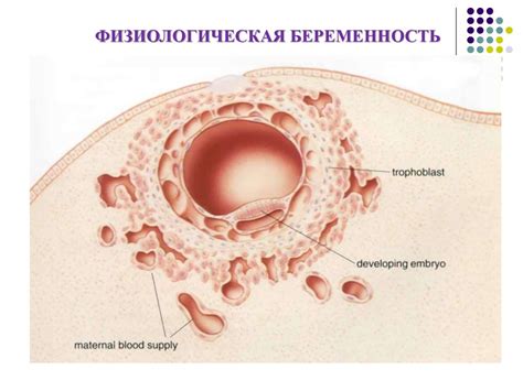 Гестозы беременных - презентация онлайн