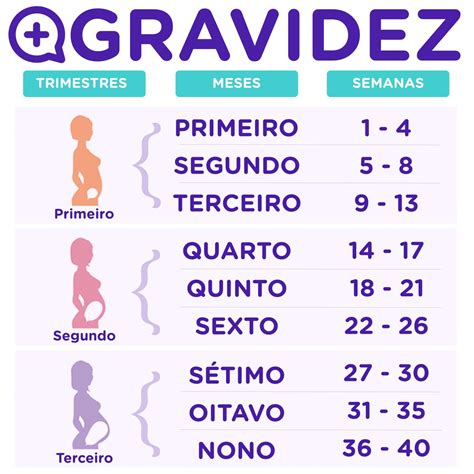 Segundo Trimestre Da Gestação - Sintomas da gravidez por trimestre - mediQuo