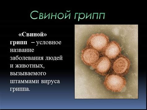 Презентация «Вирус гриппа»