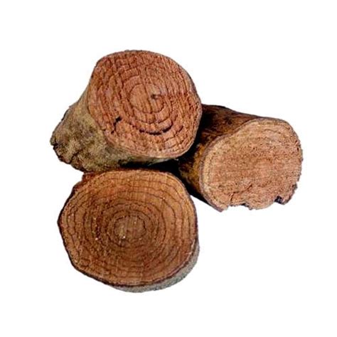 salacia reticulata root prescription   price  thoothukudi id