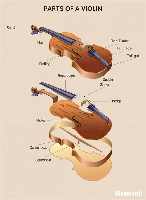 Unveiling the Strings: Henry’s Choice of Violin – Mozart Project