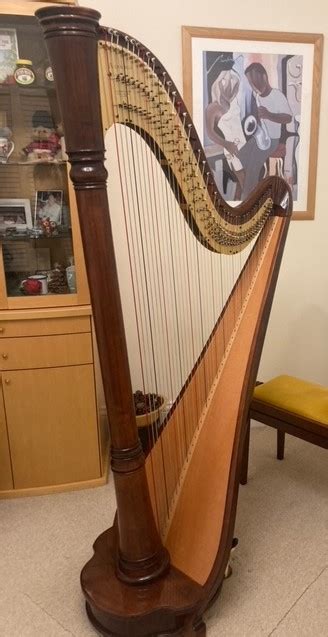 Catherine on Twitter: "RT @HarpMarketplace: 47 string Concert Grand ...
