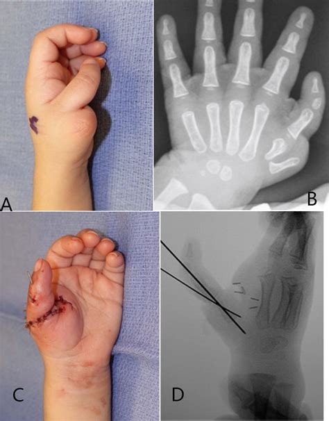 oae publishing  gold open access journal publisher