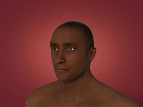 Человек 3D 3D Модель $44 - .dae .fbx .blend .unknown - Free3D