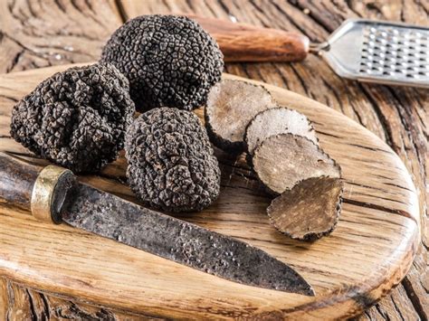 Types of Truffle Mushrooms | House of Caviar and Fine Foods
