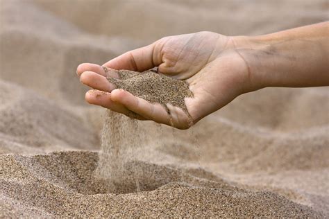 DB Exports, a New Zealand brewery, is tackling beach erosion with a ...