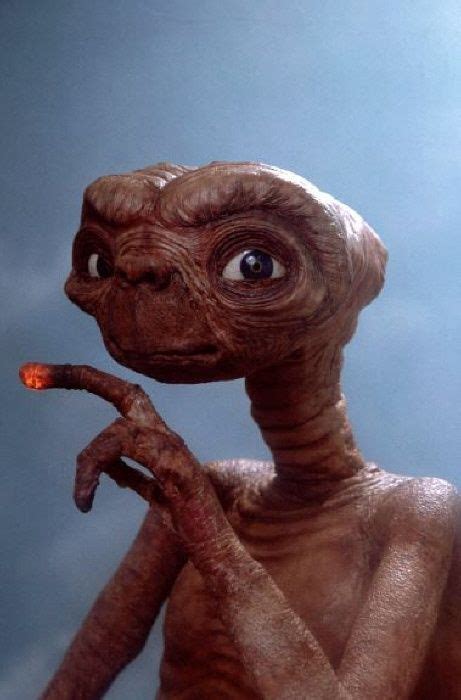 20 Fascinating Facts About "E.T. The Extra-Terrestrial" | Et the extra ...