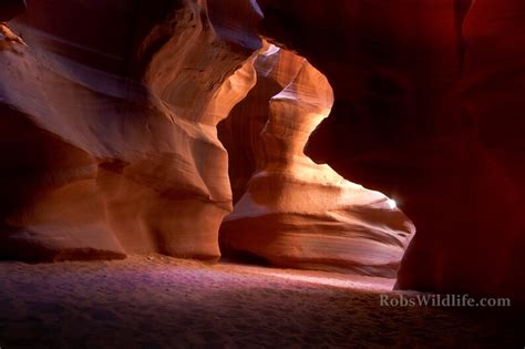 ANTELOPE SLOT CANYONS Photography Print, Arizona Slot Canyon Prints ...