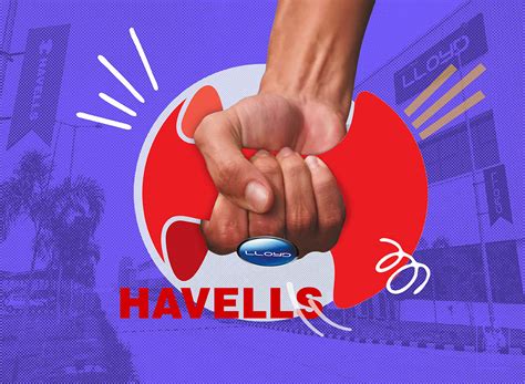 Havells’s biggest bet loses steam