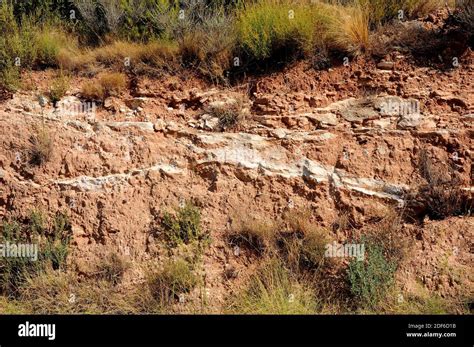 caliche soil  res stock photography  images alamy