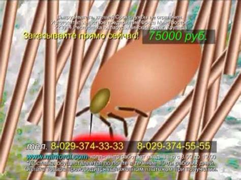 Выкручиватель клещей - YouTube