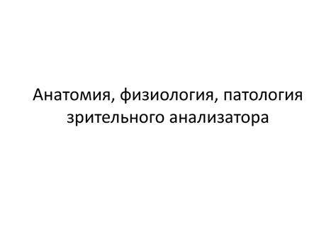 Анатомия, физиология, патология зрительного анализатора - презентация ...