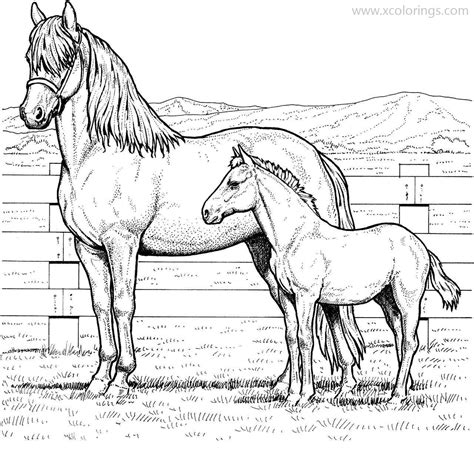 Realistic Baby Horses Coloring Pages - XColorings.com