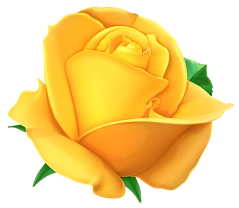 Розы PNG