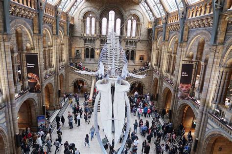 What to see at the Natural History Museum with kids - A mum in London ...