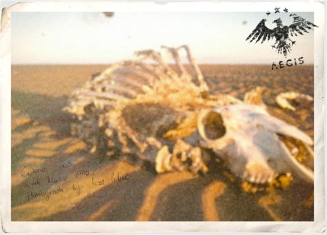Caelus Files | The Dark Pictures Wiki | Fandom