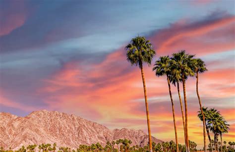 ultimate  day weekend  palm springs itinerary roadtripping