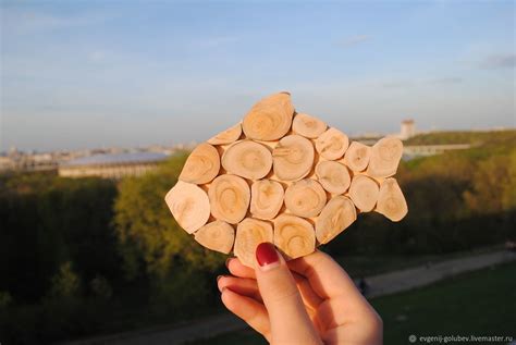 Поделки из можжевельника - фото и картинки: 67 штук
