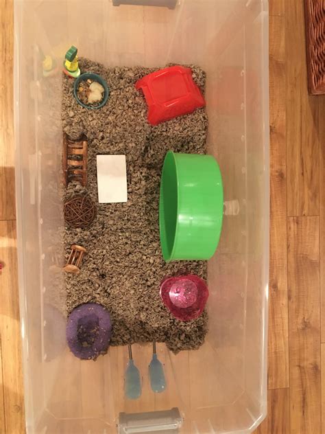 Hamster lifespan everything you need to know – Artofit