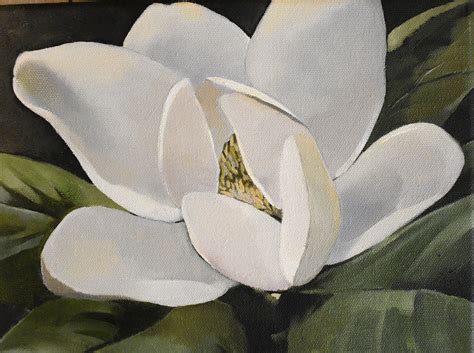 white magnolia flower painting