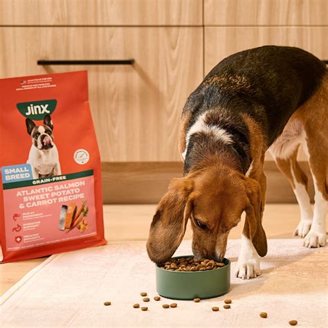 Small Breed Kibble vs Regular Dog Food – Jinx