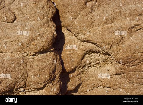 natural pattern  background stock photo alamy