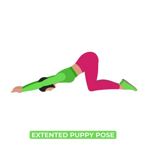 Vector Woman Doing Extented Puppy Pose. Uttana Shishosana. Lats Stretch