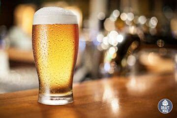 sam adams cold snap review        beer