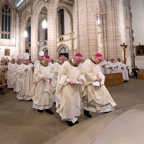 bishops discuss  autumn plenary meeting catholic bishops