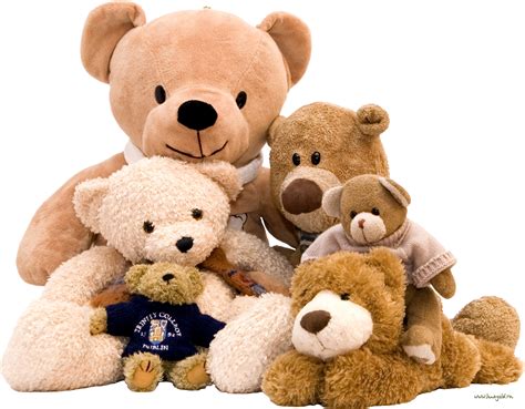 teddy bear