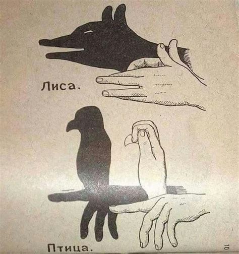 Pin by ay on nice ideas | Hand shadows, Shadow art, Shadow puppets