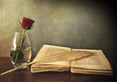 Sobre cómo Escribir una Carta de Amor | ObjetivoLigar