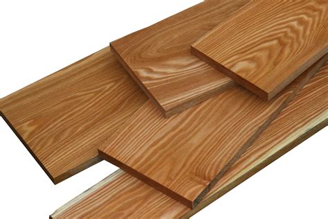 Chestnut – Cook Woods