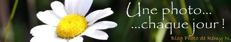 une photochaque jour