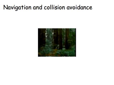 perception lecture notes visual motion perception