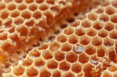 honeycomb   natures  beautiful   structures