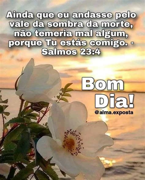 Bom Dia Bíblico Frases - Bom Dia Abençoado Bíblico : 67 frases de bom dia abençoado para iniciar ...