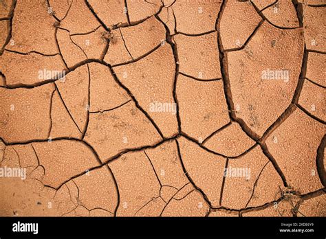 Drying cracks forming a characteristic pattern in clay soil. Natural