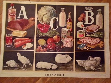 Наглядные пособия советской школы | Пикабу