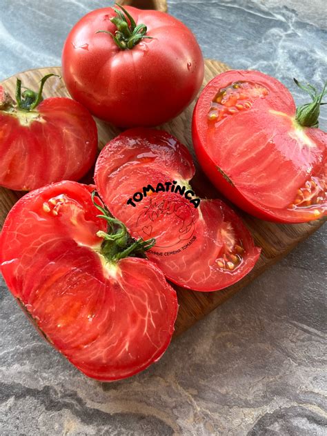 Земляника лесная от бабы Тони – Tomatinсa.ru